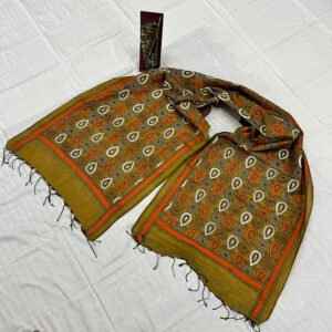 Handcrafted Kantha Work Stole | Pure Bishnupuri Silk | Pattern Design Embroidery