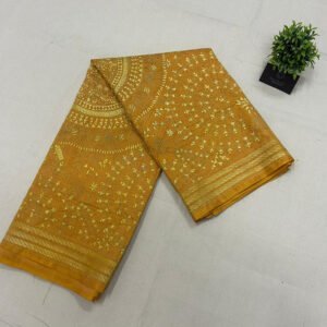 Tussar Dyed Kantha Stitch Saree |s58
