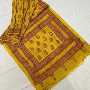 Elegant Gachi Tussar Kantha Stitch Saree | s44
